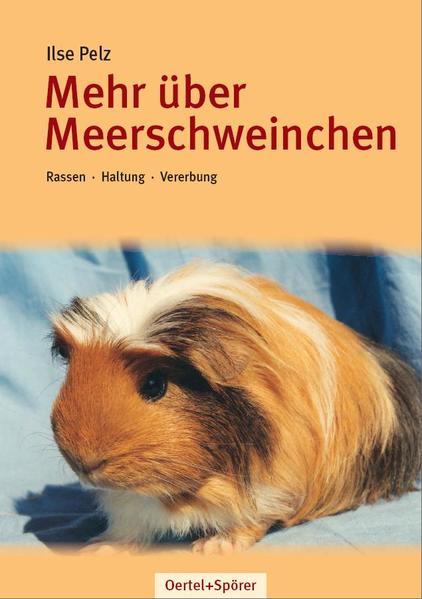 Produktbild: Mehr über Meerschweinchen | Ilse Pelz
