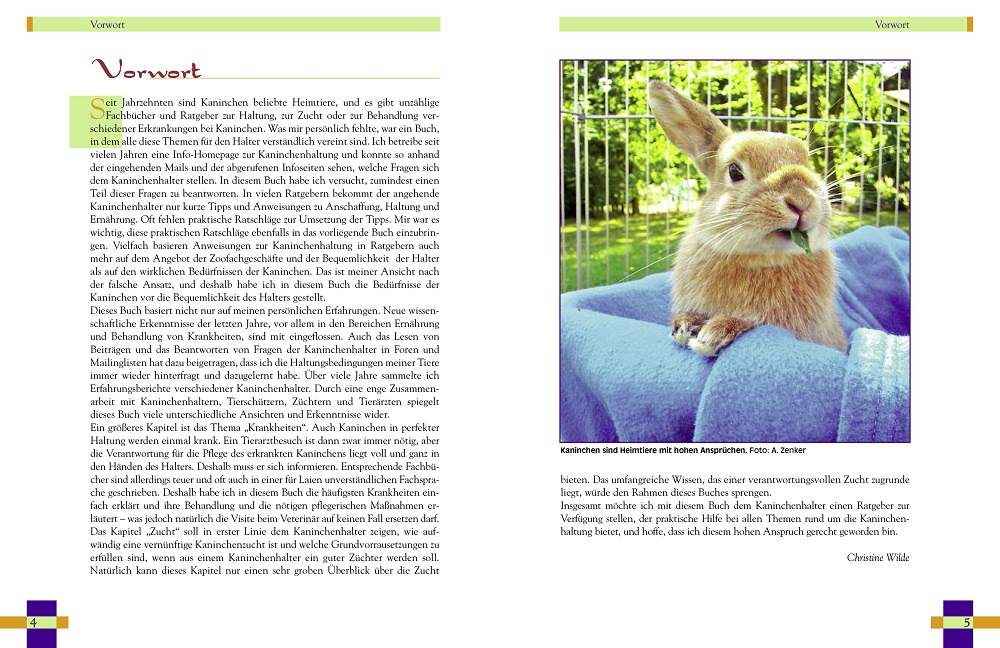 Weitere Ansicht: Leben mit Kaninchen | Christine Wilde