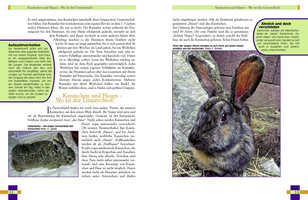 Weitere Ansicht: Leben mit Kaninchen | Christine Wilde
