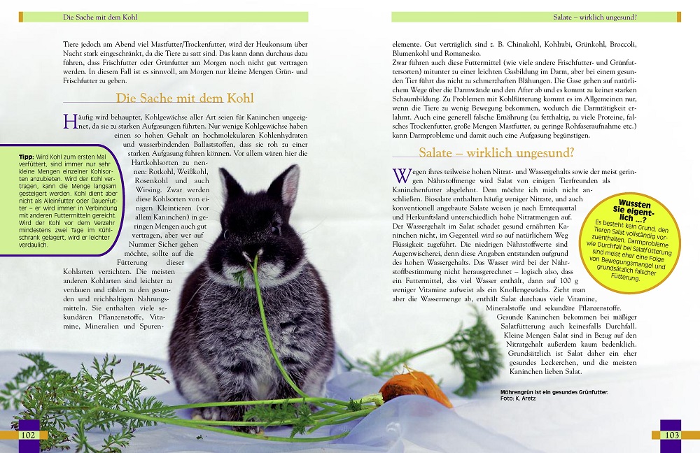 Weitere Ansicht: Leben mit Kaninchen | Christine Wilde