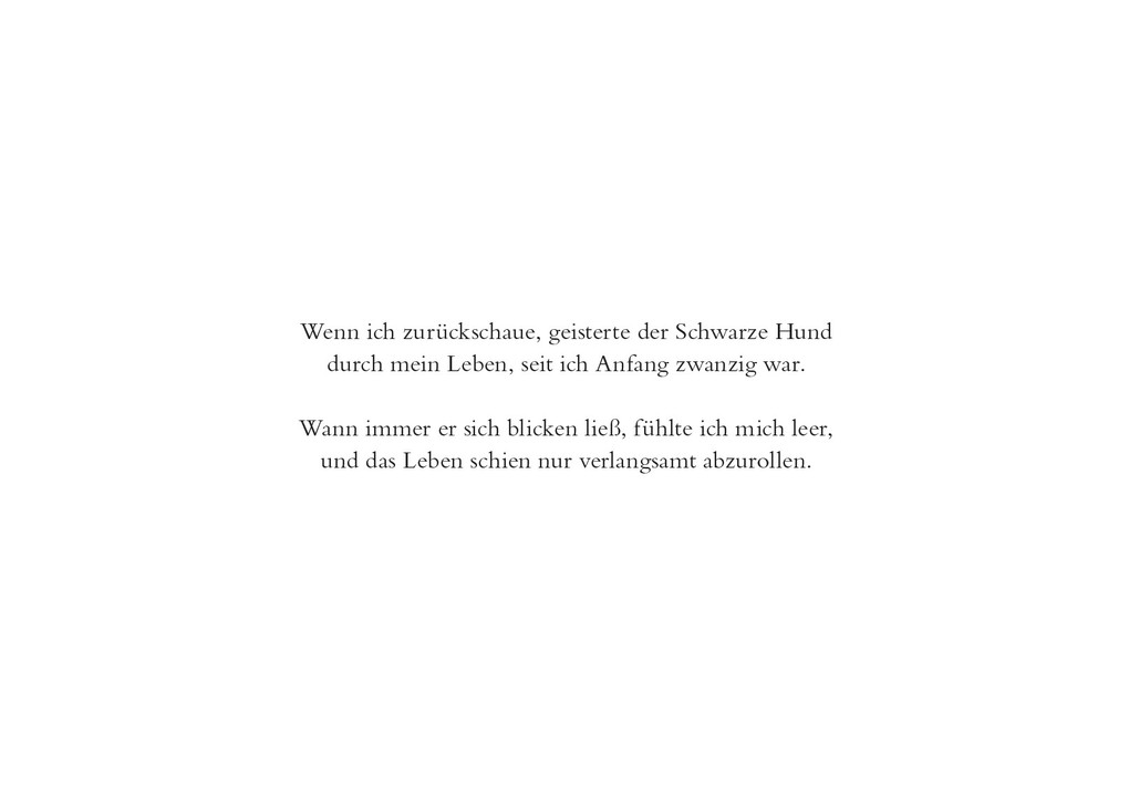 Weitere Ansicht: Mein schwarzer Hund | Matthew Johnstone