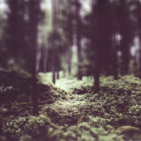 Produktbild: Hello Troll | Helge Trio Lien