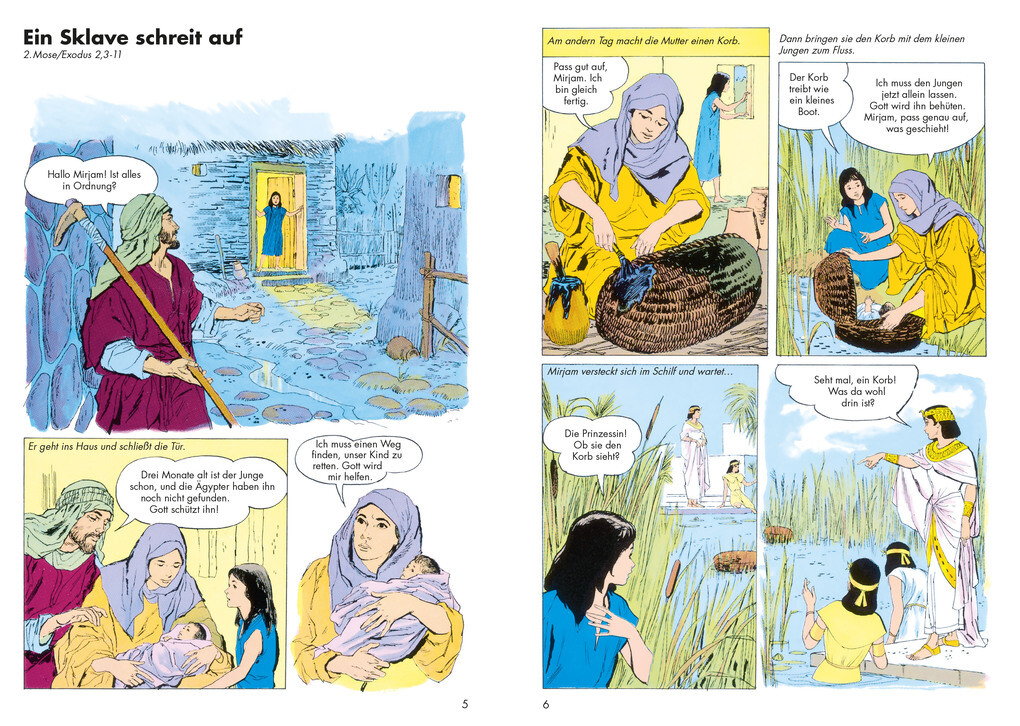 Weitere Ansicht: Die Bibel im Bild | Iva Hoth