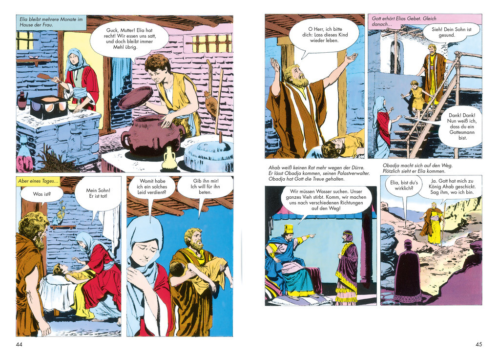 Weitere Ansicht: Die Bibel im Bild | Iva Hoth