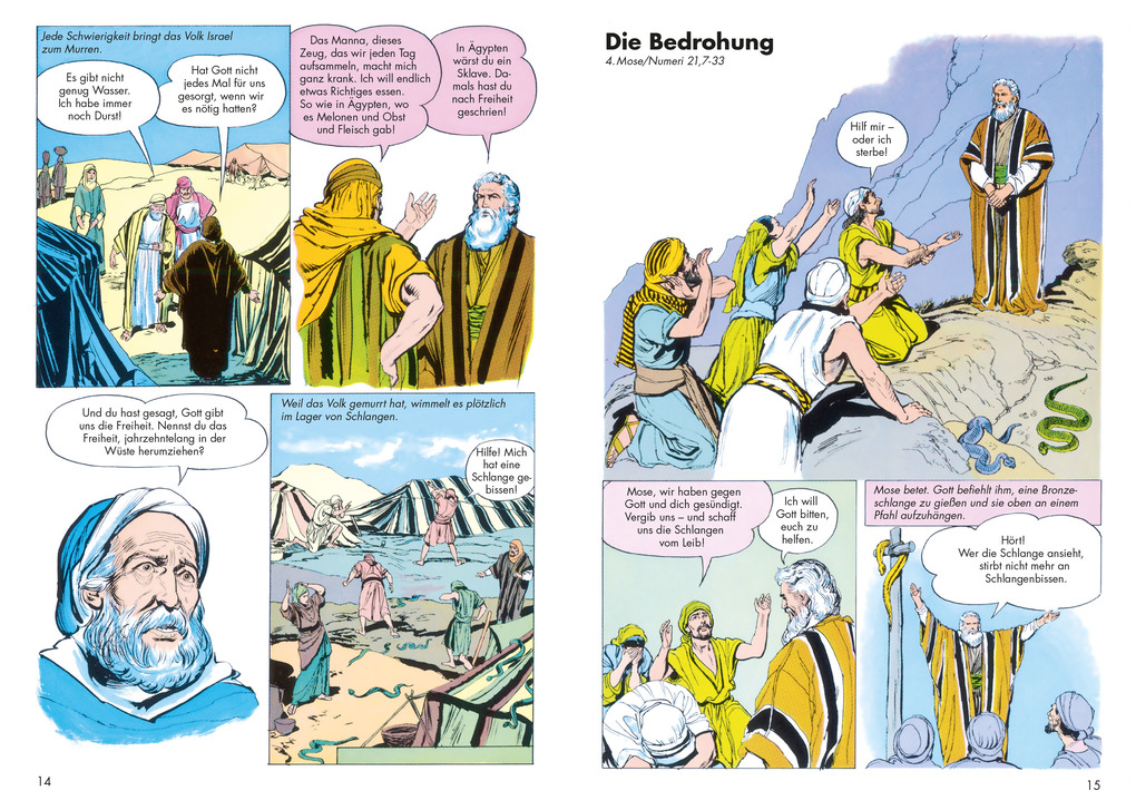 Weitere Ansicht: Spione in Jericho