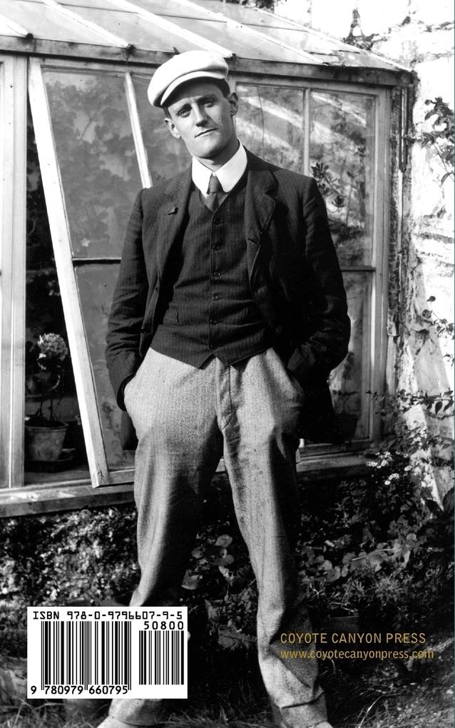 Weitere Ansicht: The Dead | James Joyce