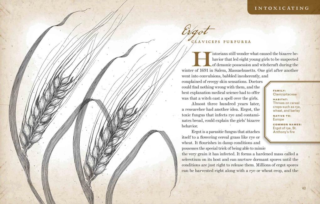 Weitere Ansicht: Wicked Plants | Amy Stewart