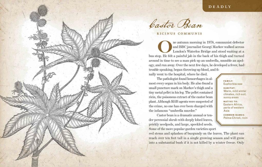 Weitere Ansicht: Wicked Plants | Amy Stewart