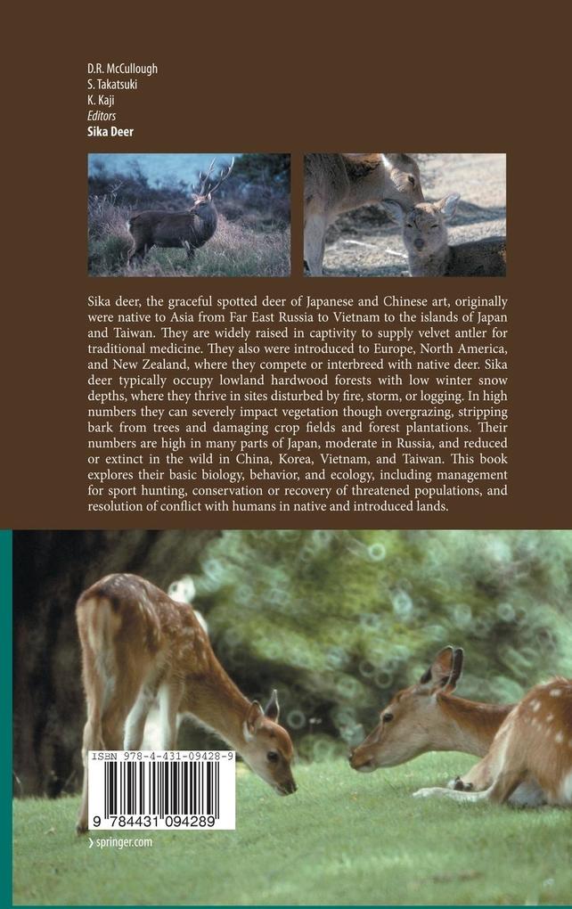 Weitere Ansicht: Sika Deer