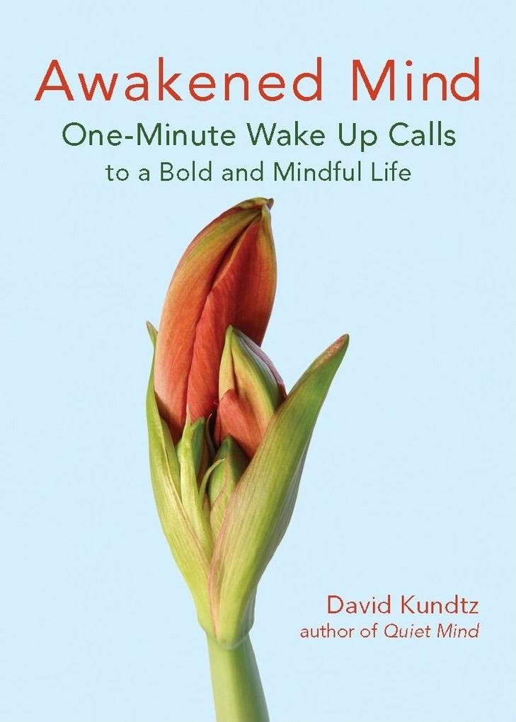 Weitere Ansicht: Awakened Mind | David Kundtz