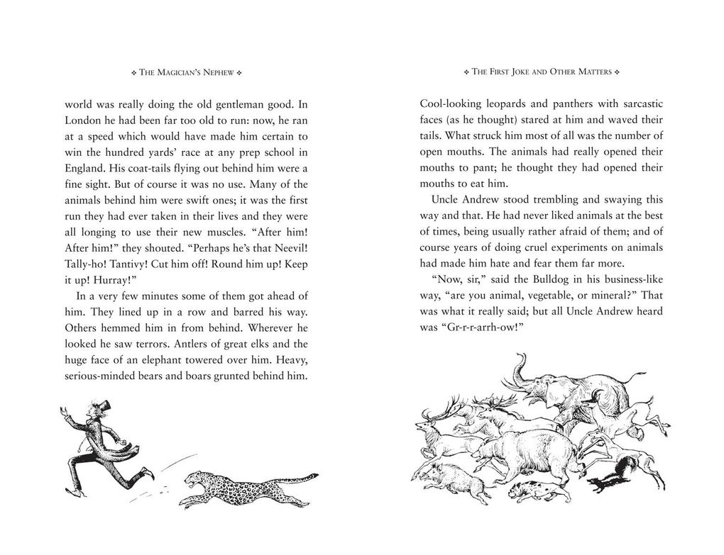 Weitere Ansicht: Magician's Nephew,The | C. S. Lewis