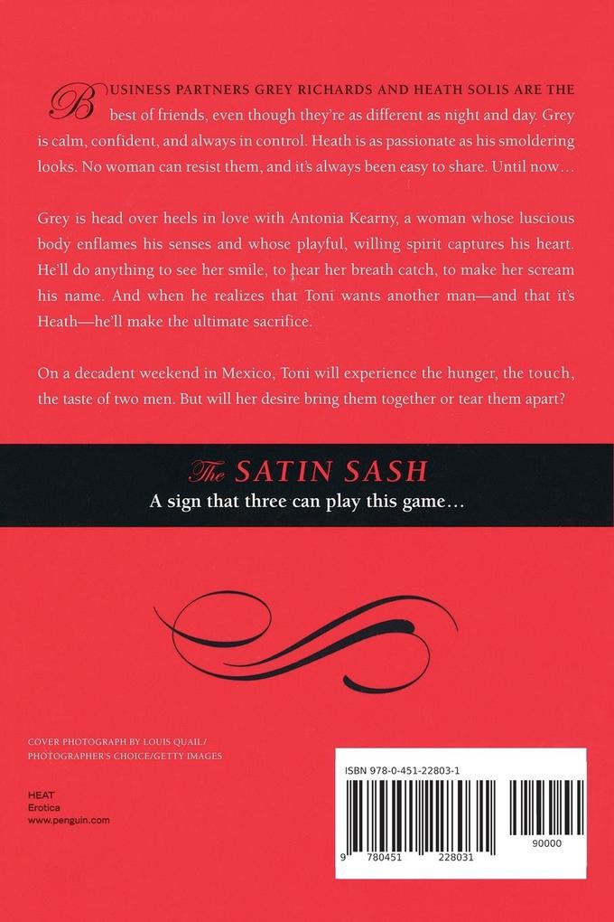 Weitere Ansicht: The Satin Sash | Red Garnier