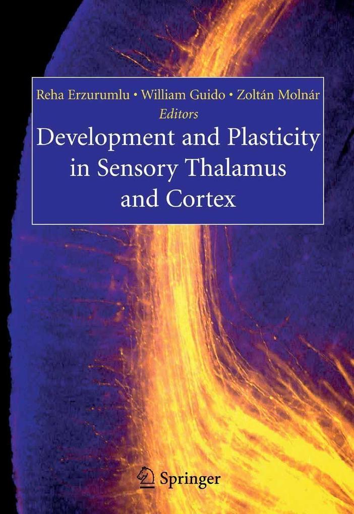 Produktbild: Development and Plasticity in Sensory Thalamus and Cortex