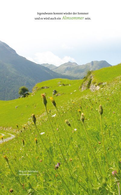 Weitere Ansicht: Almgeschichten | Irene Prugger