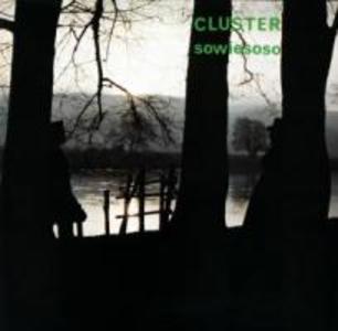 Produktbild: Sowiesoso | Cluster