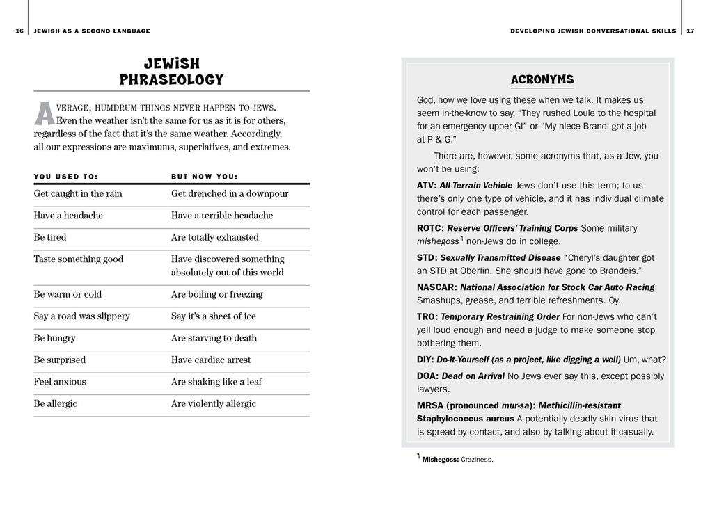 Weitere Ansicht: Jewish as a Second Language | Molly Katz