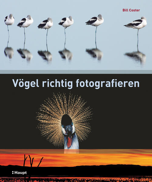 Produktbild: Vögel richtig fotografieren | Bill Coster
