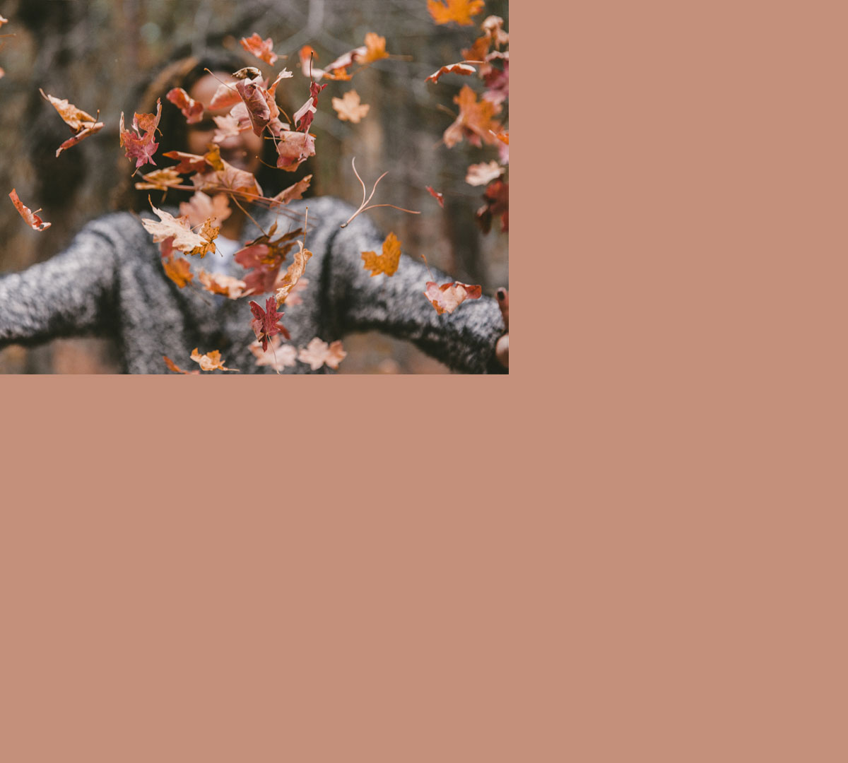 Herbst