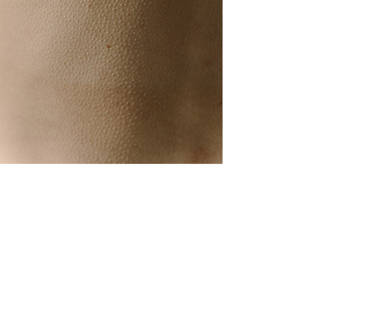 10 fesselnde Body Horror Bücher