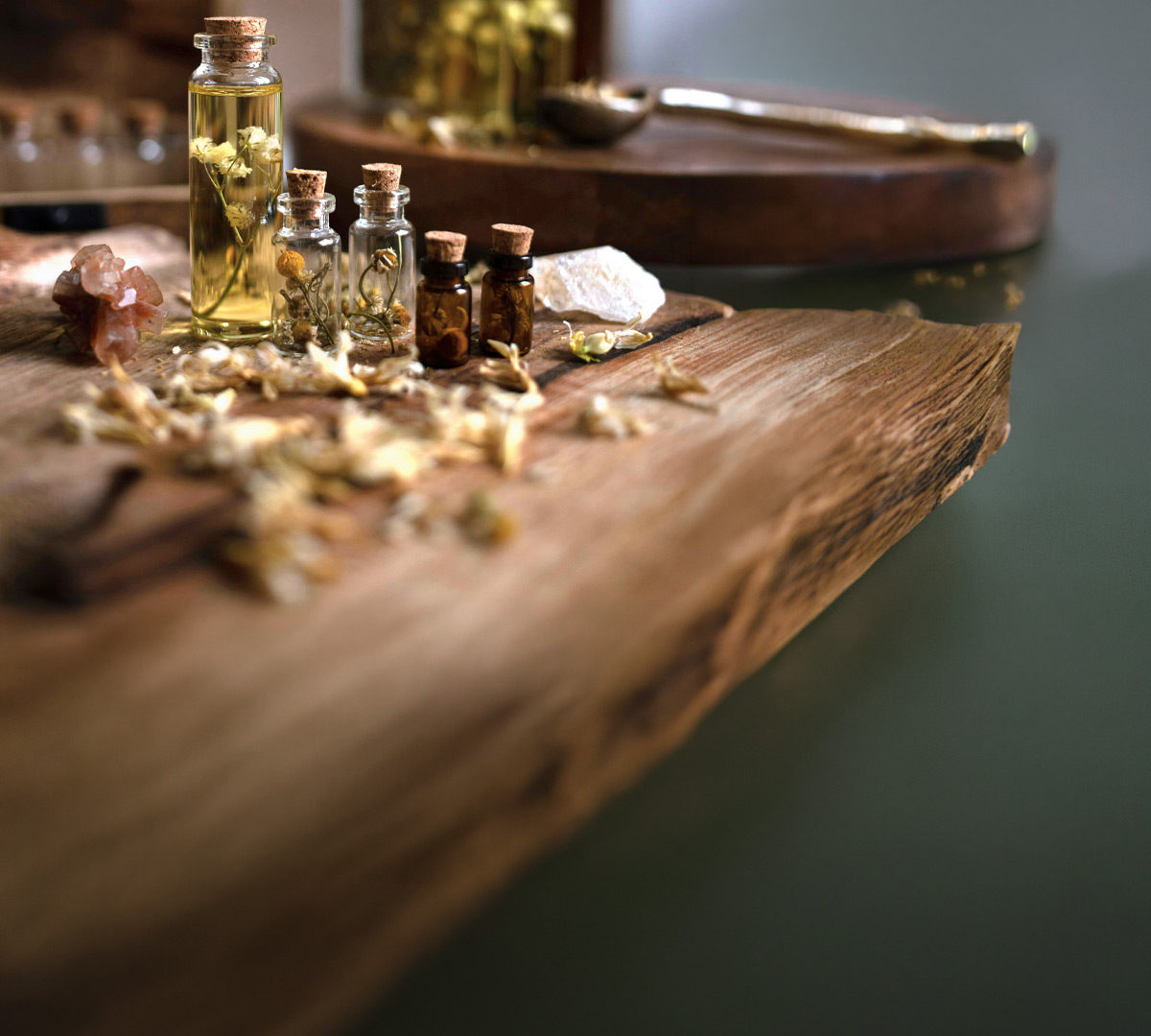 Naturheilpflanzen: Die Kraft der Natur nutzen