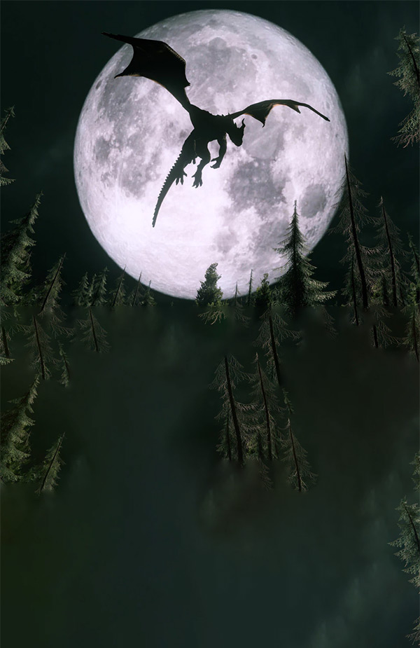 10 Bücher mit Drachen für Fantasy-Fans
