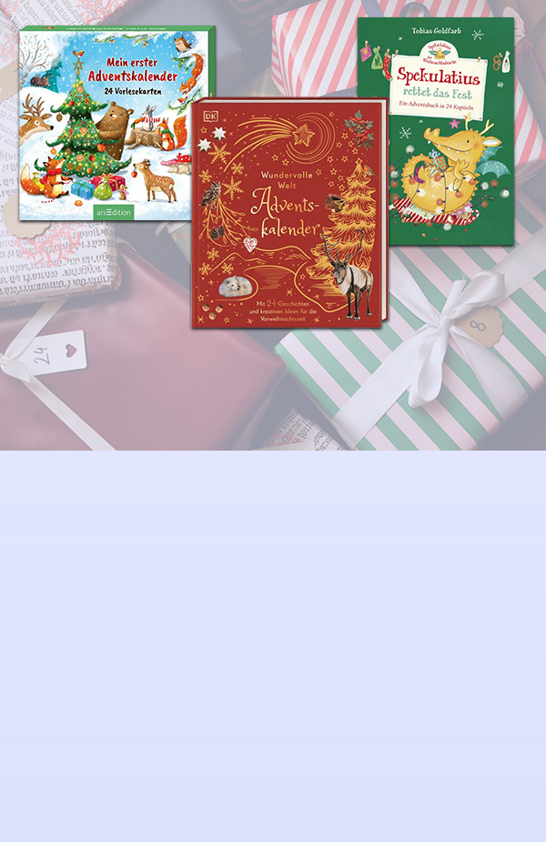 Kinderbuch Adventskalender