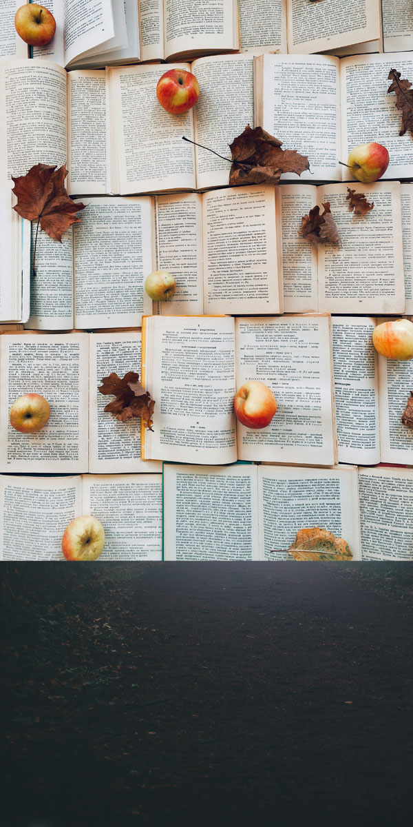 Bücher, die für Herbststimmung sorgen