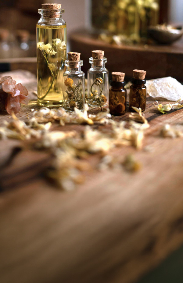 Naturheilpflanzen: Die Kraft der Natur nutzen