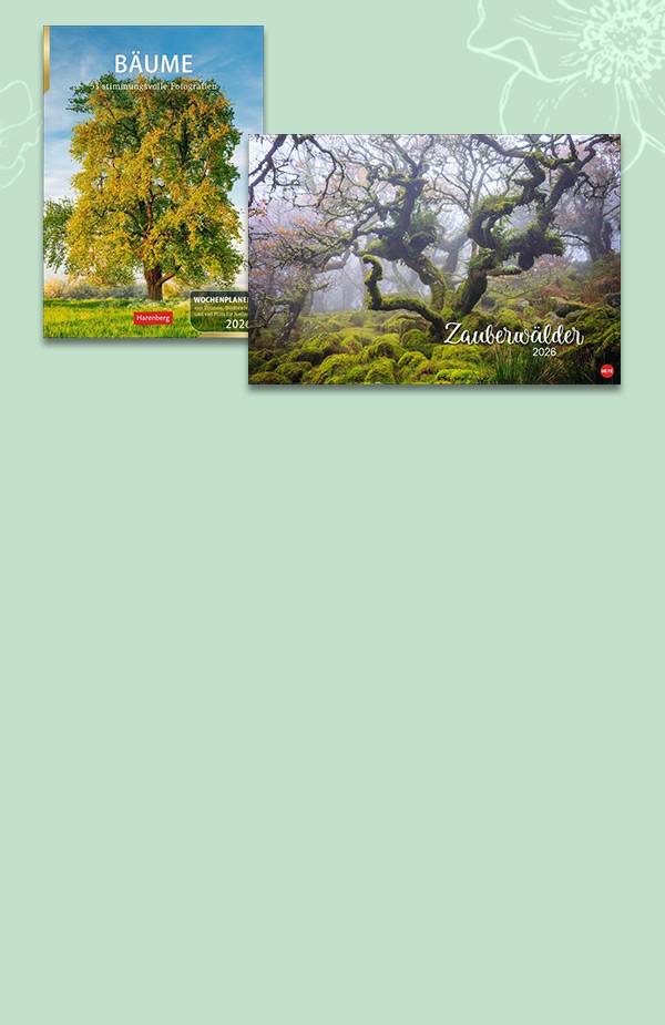 Athesia Kalender Wald und Bäume