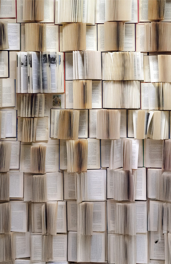 Romane, in denen Bücher vorkommen