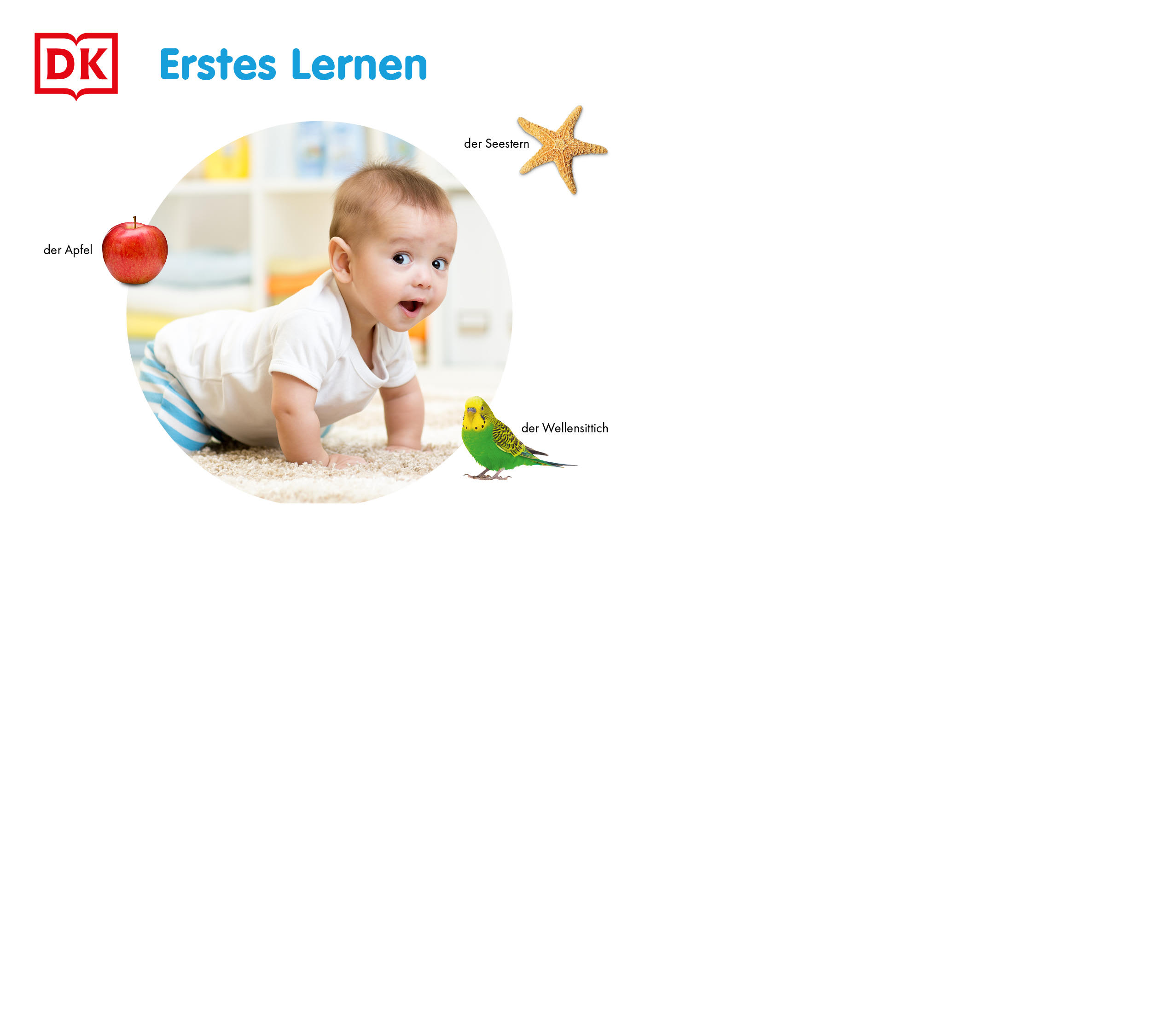 Erstes Lernen