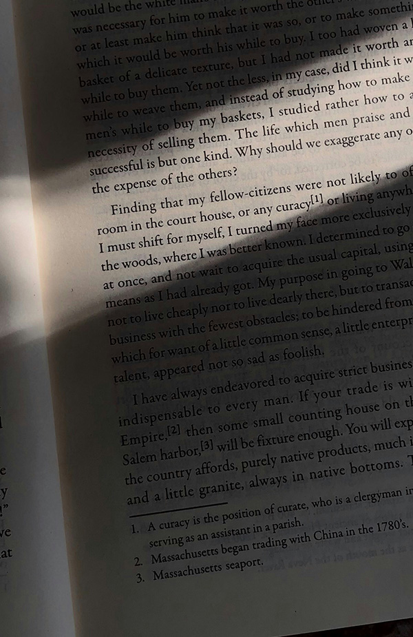 Diese 10 Bücher von Independent Verlagen lieben wir