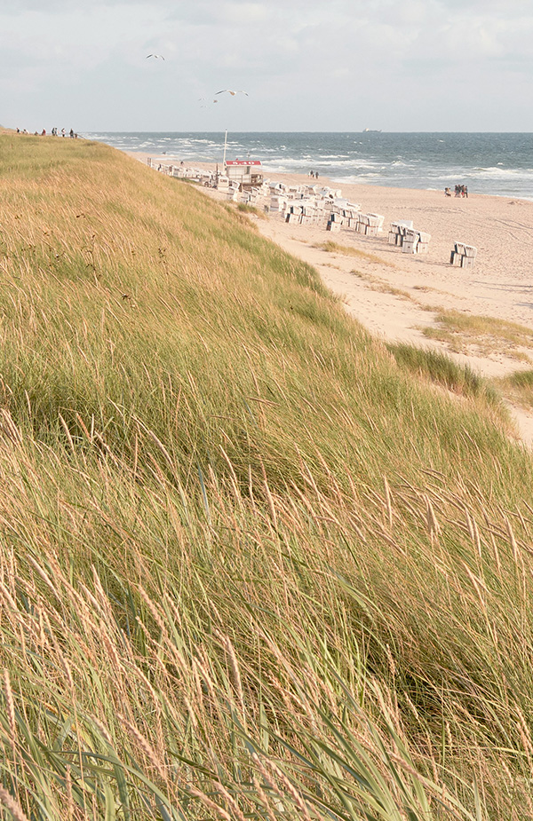 Sylt, Amrum & Co.: Diese 10 Inselromane lieben wir