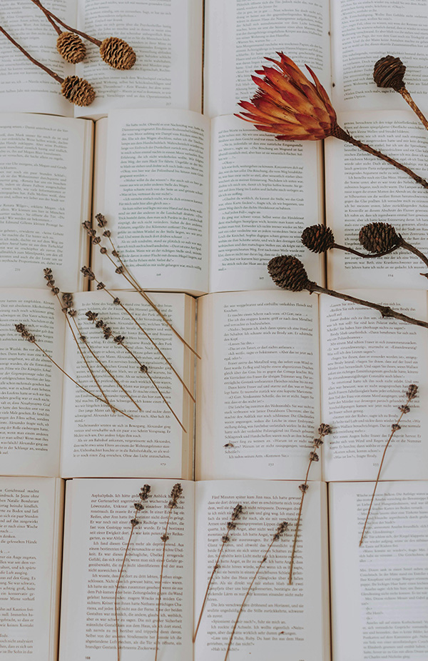 10 lesenswerte Bücher von und über Jane Austen