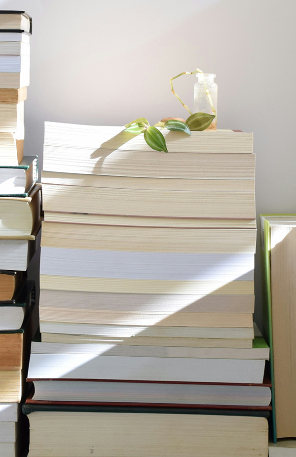 10 Lieblingsbücher unserer Buchhändler:innen