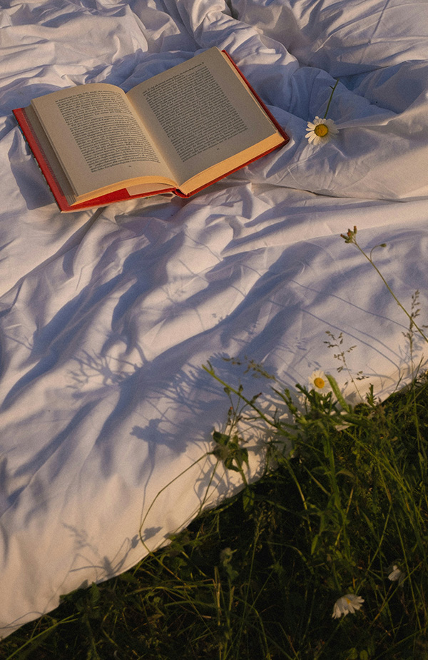 Die 10 lustigsten Krimis: Diese Bücher müssen Sie lesen