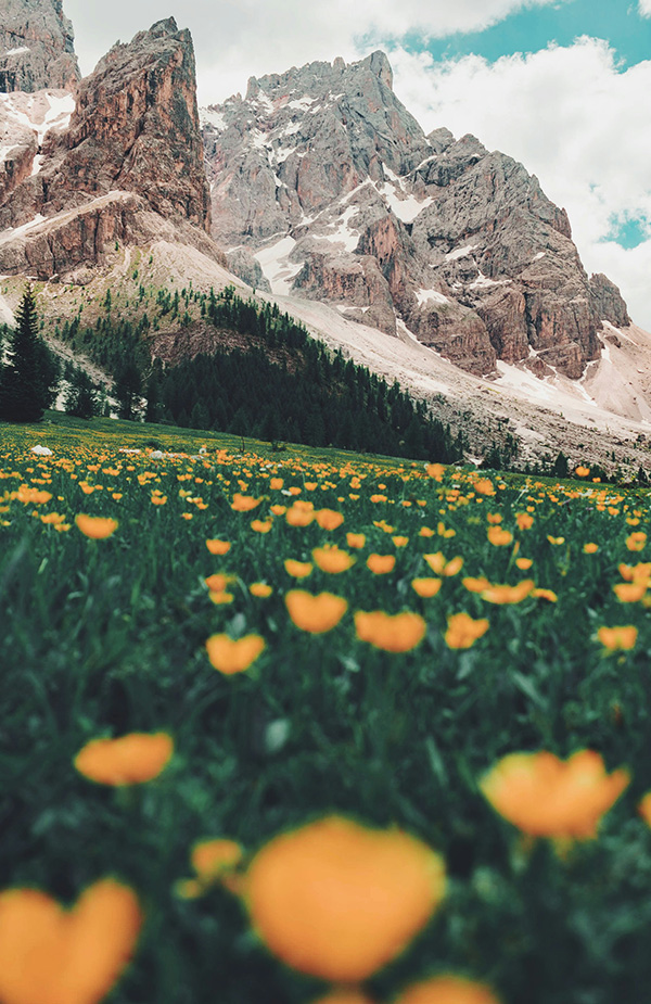 10 Romane über Natur und Umwelt