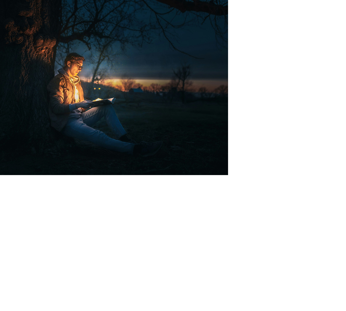 Phantastikbuchhandlung (Halle 3, C501)