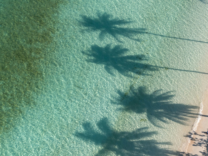 10 Sommerbücher für den perfekten Strandurlaub