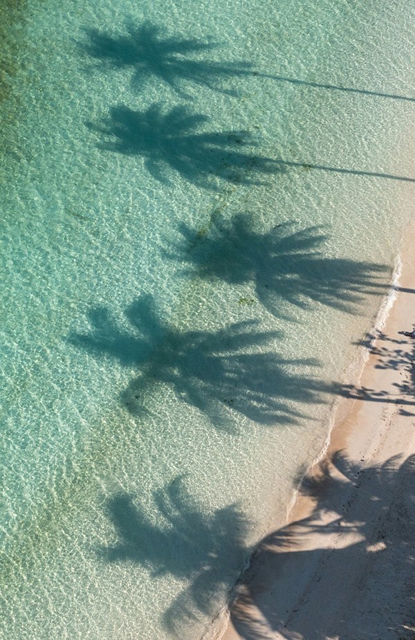 10 Bücher für den perfekten Strandurlaub