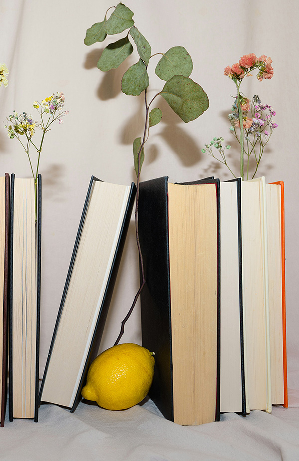10 Sachbücher für gute Vorsätze