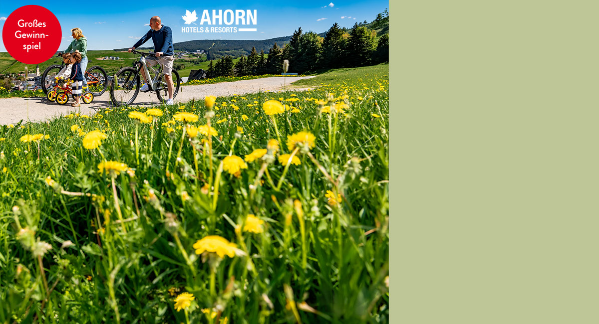 Ahorn Hotels