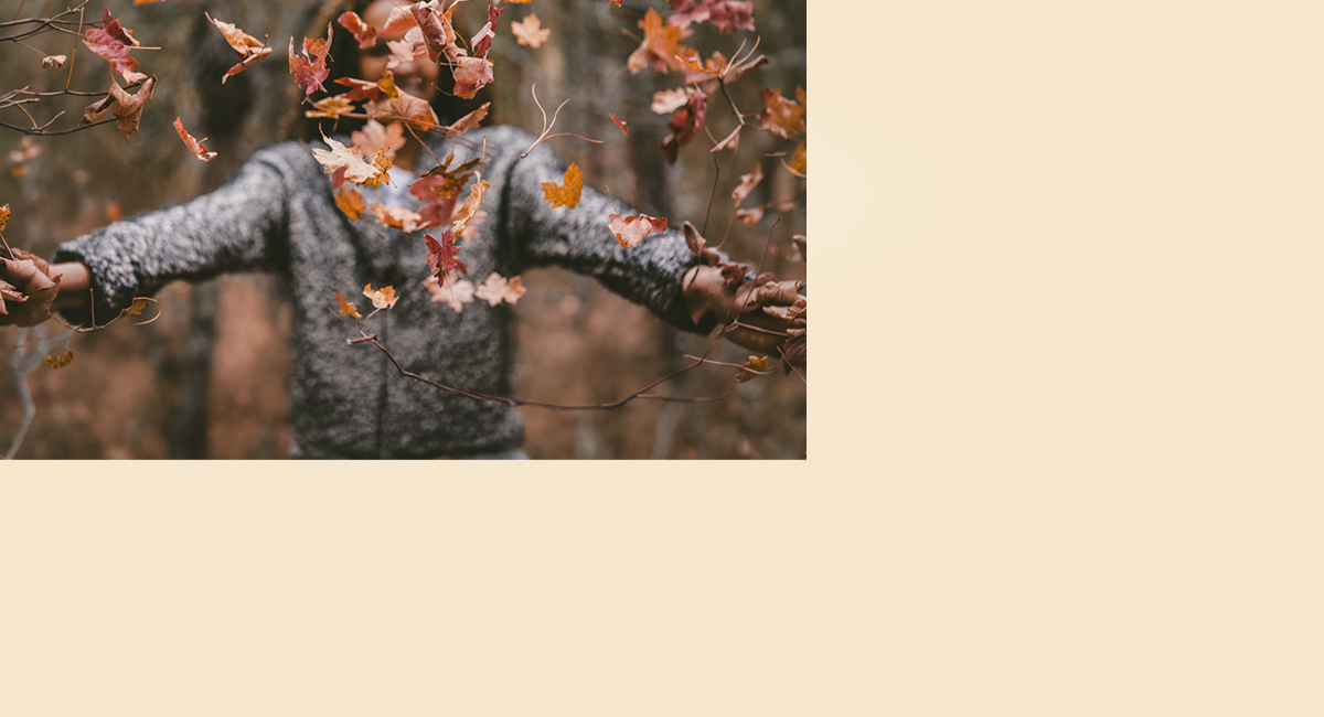 Alles für den Herbst