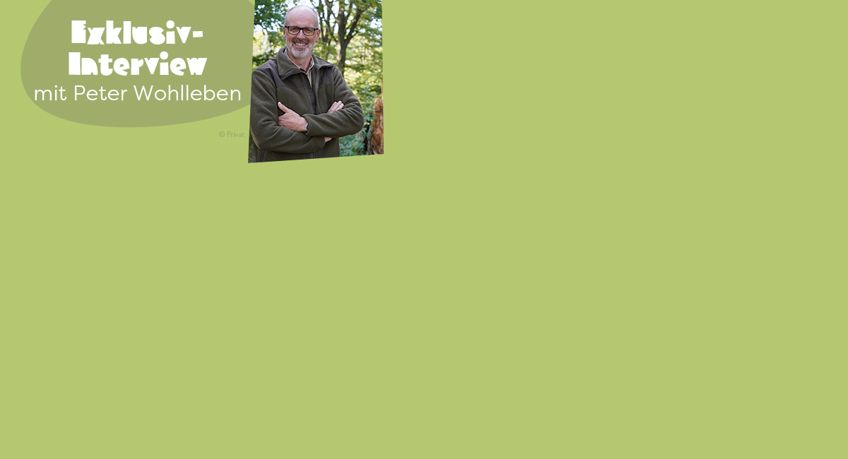 Interview Peter Wohlleben
